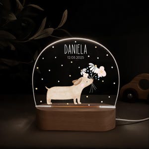 Personalisierte Nachtlampe mit Holzsockel und Acrylglas, bedruckt mit bunten HejHanni-Motiven und Wunschnamen. Dimmbares Kinderzimmerlicht – ideales Geschenk zur Geburt, Taufe oder zum Geburtstag.