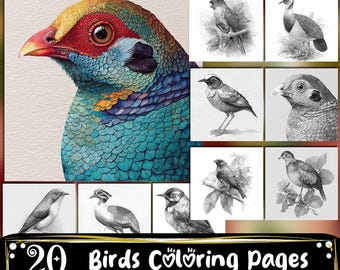 Puede incluir: Ilustración en acuarela de la cabeza de un pájaro con plumaje colorido. El pájaro tiene un ojo rojo, un pico amarillo y una mezcla de plumas azules, verdes y amarillas. La imagen también incluye 20 páginas para colorear de pájaros.