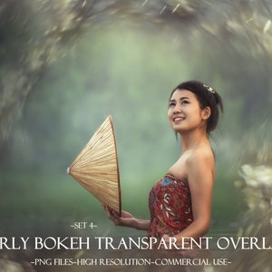 Wervelende bokeh-overlays, Photoshop-overlays, bloesembloemen-overlays, Knipmaskers, Digitale achtergrond, Foto-overlays, Bokehachtergrond