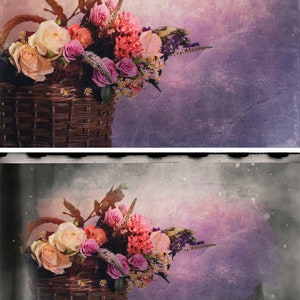 Distressed Photo Masks, Photoshop Overlays, Watercolor Masks, Photoshop Frames, Frame Clipart, Clipping Masks, Transparent Frames, PNG image 4