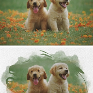 May include: Two golden retriever puppies sitting in a field of orange flowers. The puppies are looking at the camera and have their tongues sticking out.