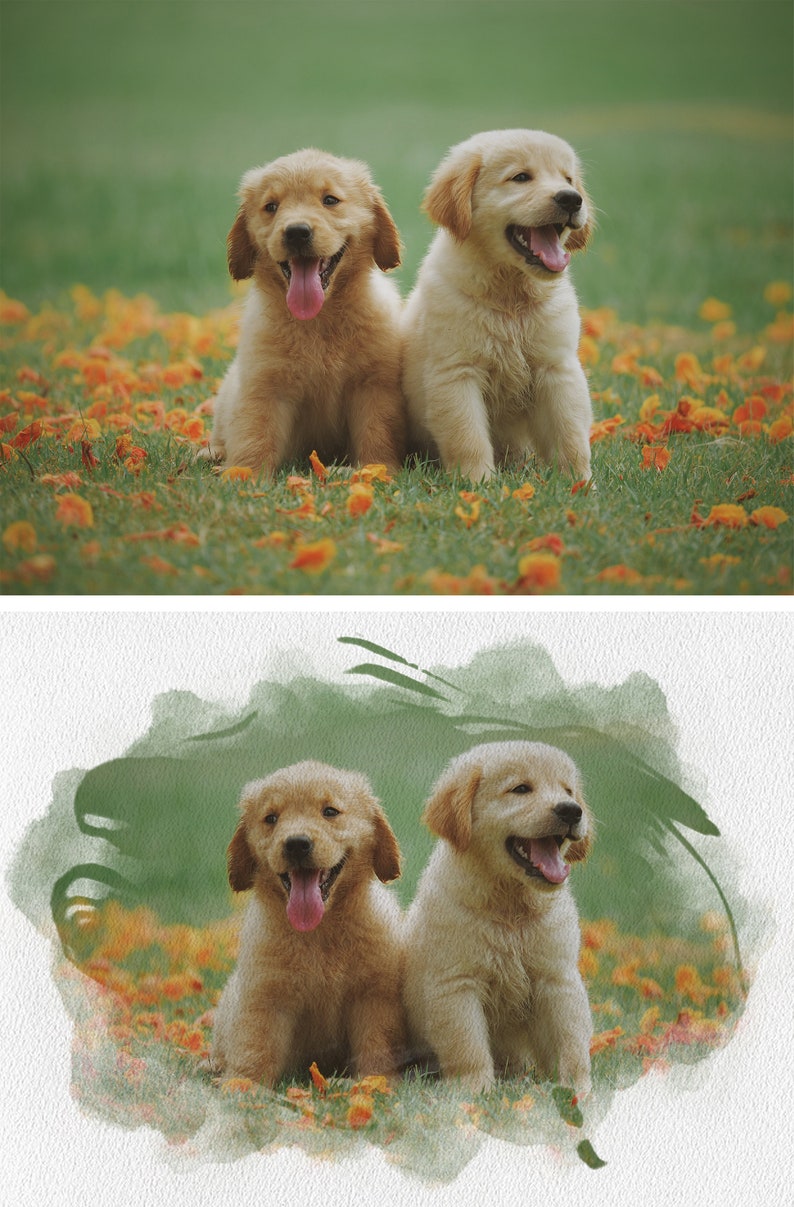 May include: Two golden retriever puppies sitting in a field of orange flowers. The puppies are looking at the camera and have their tongues sticking out.