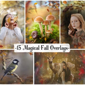 15 Photoshop Overlays, Magical Fall Overlays, Clipping Masks, Photo Frame Digital Backdrop, Autumn Background, Fall Clipart, Fall Overlays