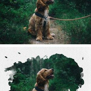 May include: A brown and white cocker spaniel puppy sits on a path in a forest. The puppy is wearing a black collar and is looking up. The forest is green and lush. The puppy is on a leash.