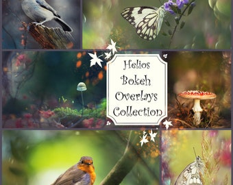 35 Helios Bokeh Overlays, Photoshop Overlays, Blossom Flowers Overlays, Clipping Masks, Digital Backdrop, Transparent File, Bokeh Background