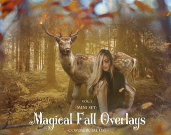 Photoshop Overlays, Magical Fall Overlays, Clipping Masks, Photo Frame Digital Backdrop, Autumn Background, Fall Clipart, Fall Overlays