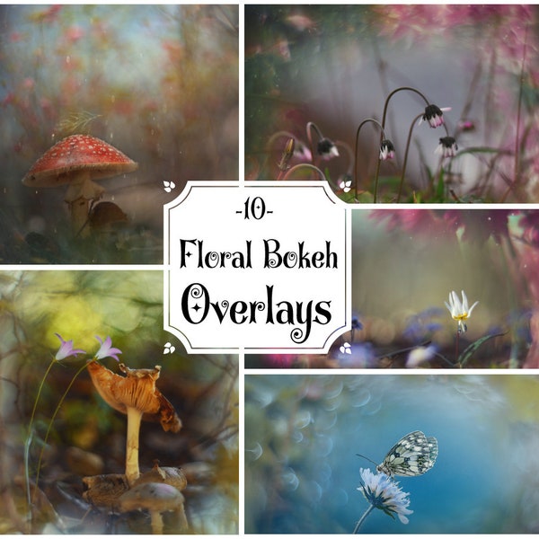 10 Bokeh Overlays, Photoshop Overlays, Bokeh Overlays, Clipping Masks, Overlays PNG, Swirly Bokeh, Photography Frame, Nature Bokeh