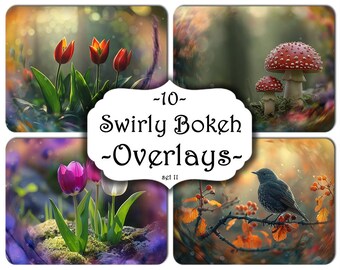 10 Swirly Nature Bokeh Photo Overlays (Digital Download)