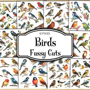Birds Fussy Cuts, Digital Stickers, Printable Stickers, Ephemera, Junk Journal Kit, Scrapbook Supplies, Collage Sheets, Paper Craft