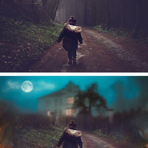 May include: A person walks down a path in a dark, foggy forest. The path leads to a house in the distance, illuminated by a full moon.