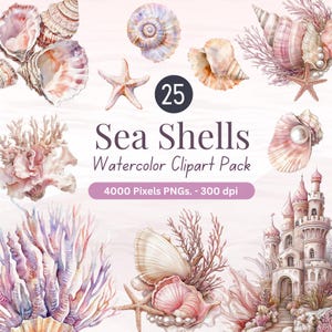 25 zeeschelpen aquarel clipart png | Zomerstrand Oceaanschelpen | Pastel zeeleven koraal zeester | Commercieel gebruik met hoge resolutie van 4000 pixels