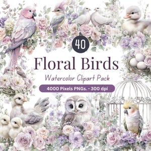 Blumen Vögel Aquarell Clipart | Frühling Vogel PNGs | Pastell Blumen & Eulen | 300 DPI | Süsser Vogel Clip Art | Kommerzielle Nutzung | PNG-Paket