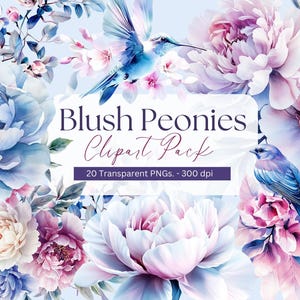Clipart floreale di peonie blush - Clipart di peonie acquerellate - Clipart di rose - Rose e blush - Clipart floreale azzurro - Clipart di acquerelli - Clipart di nozze