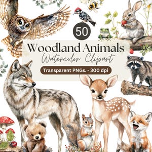 50 cliparts aquarelle animaux de la forêt - mignons PNG premium 300 dpi pour décoration de chambre d'enfant, usage commercial, renard, ours, cerf, hérisson, hibou, loup