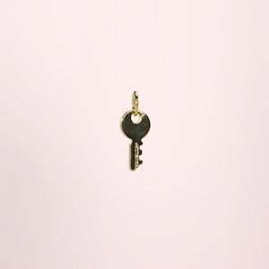 May include: A gold-colored key pendant with a circular top and a rectangular key shaft. The key is suspended against a soft pink background, creating a minimalist aesthetic. The pendant is likely made of metal.