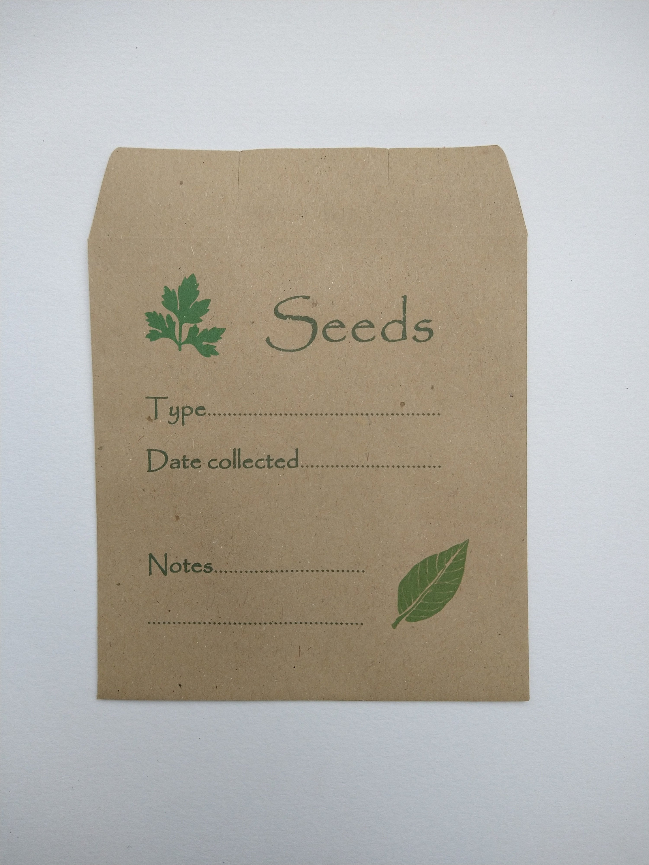 Pack of 10 Seed saving envelopes Etsy