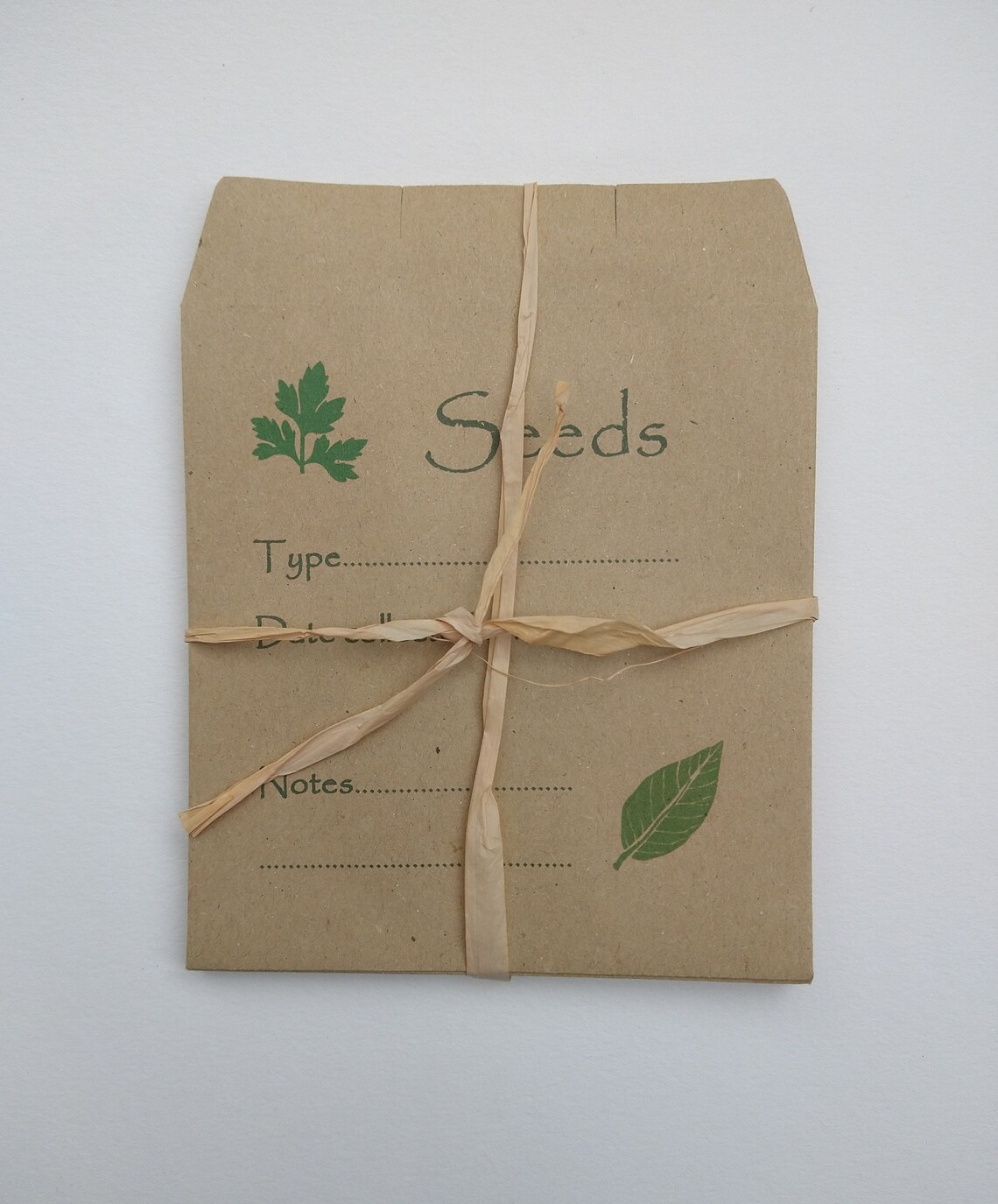 Pack of 10 Seed saving envelopes Etsy.de