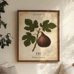 Fig Vintage Fruit Poster | Ficus Carica Botanical Wall Art | Mediterranean Kitchen Decor | Rustic Garden Print | Vintage Farmhouse Art