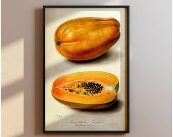 Vintage Papaya Botanical Print, Sunshine Papaya Wall Art For Kitchen Or Dining, Tropical Fruit Poster, Retro Botanical Gift Illustration