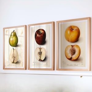 Trio di stampe da parete di frutta - Set di stampe di pere, mele e pesche / Decorazione da cucina in stile rustico / Set di poster vintage di frutta botanica per sala da pranzo