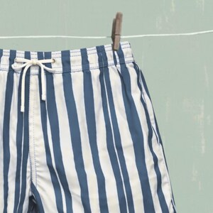 May include: Blue and white striped swim trunks hanging on a clothesline. The trunks have a drawstring waist and are held by a wooden clothespin. The background is a light green color.