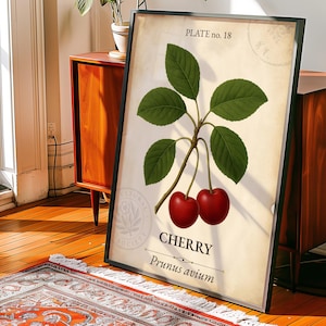 Cherry Vintage Fruit Poster Botanical Kitchen Wall Art | Prunus Avium Latin Print | Garden Decor | Mediterranean Style