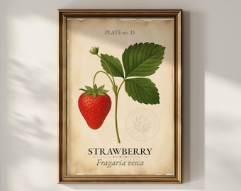 May include: Framed botanical print featuring a vibrant red strawberry with green leaves and a stem. The print includes the text "STRAWBERRY Fragaria vesca" and "PLATE no. 15" on a vintage-style background. The print is in a gold-colored frame.