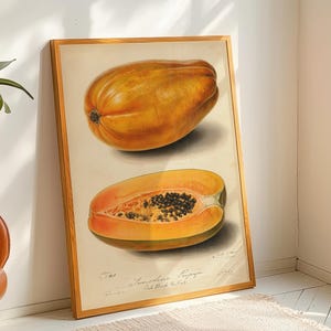 Vintage Papaya Botanical Print – Sunshine Papaya Wall Art for Kitchen Decor, Tropical Fruit Poster, Retro Botanical Illustration