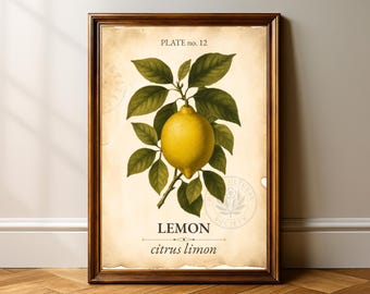 May include: A framed botanical print of a lemon, labelled "Lemon citrus limon." The image shows a yellow lemon with green leaves, set against a vintage parchment background. The print is framed in dark wood and labelled "Plate no. 12."