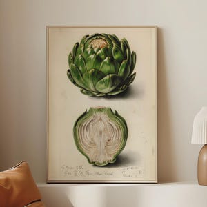 Stampa botanica vintage di carciofo - Stampa murale di carciofo verde per la cucina, studio di ortaggi antichi, poster retrò di fattoria