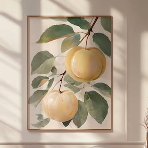 Apricot Poster Kitchen Wall Art - Vintage Fruit Print - Apricot Botanical Artwork - Dining Room or Farmhouse Decor - Apricot Wall Art