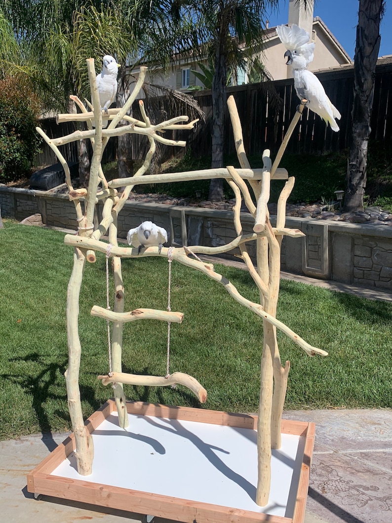 Large Parrot Stand Hurry Up Customize Your Parrot Stand for Etsy