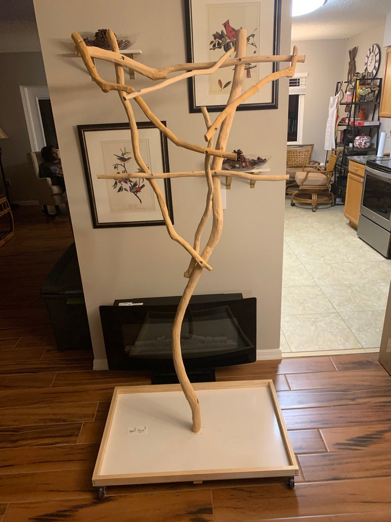 Parrot Tree Stand Easy to Assemble Customize Your Perch Etsy