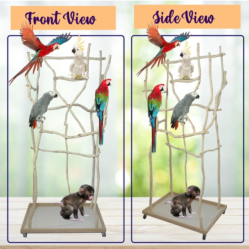 Medium Parrot Stand Custom Natural Wood Bird Perches Etsy