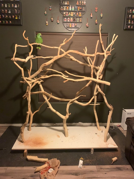 XL Bird Perch Customize Your Bird Stand With Strongest Wood - Etsy