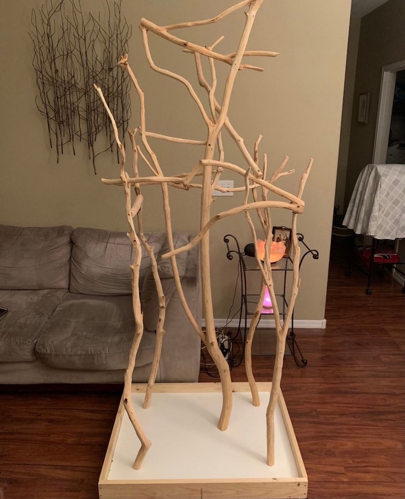 Medium Parrot Stand Custom Natural Wood Bird Perches Etsy