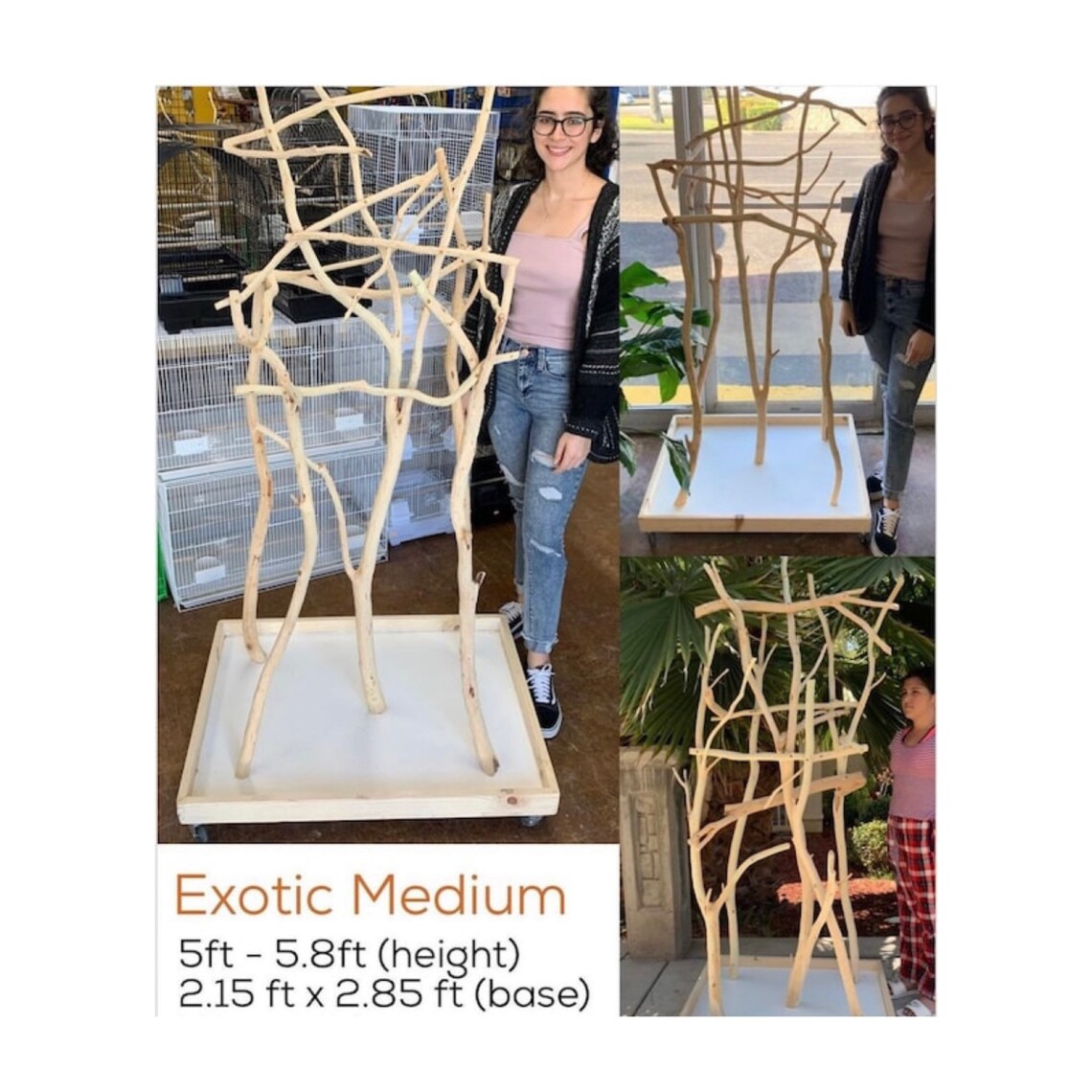 Medium Parrot Stand Custom Natural Wood Bird Perches Etsy