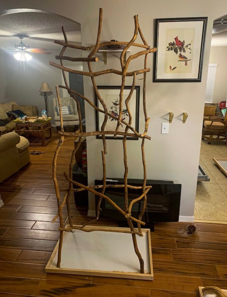 Medium Parrot Stand Custom Natural Wood Bird Perches Etsy