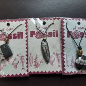 Pendenti fossili Orthoceras. Regalo ideale per gli amanti dei fossili