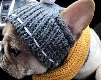 frenchie dog hats