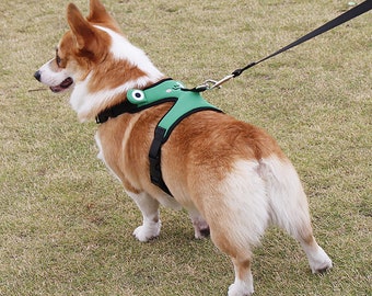 frog dog harness