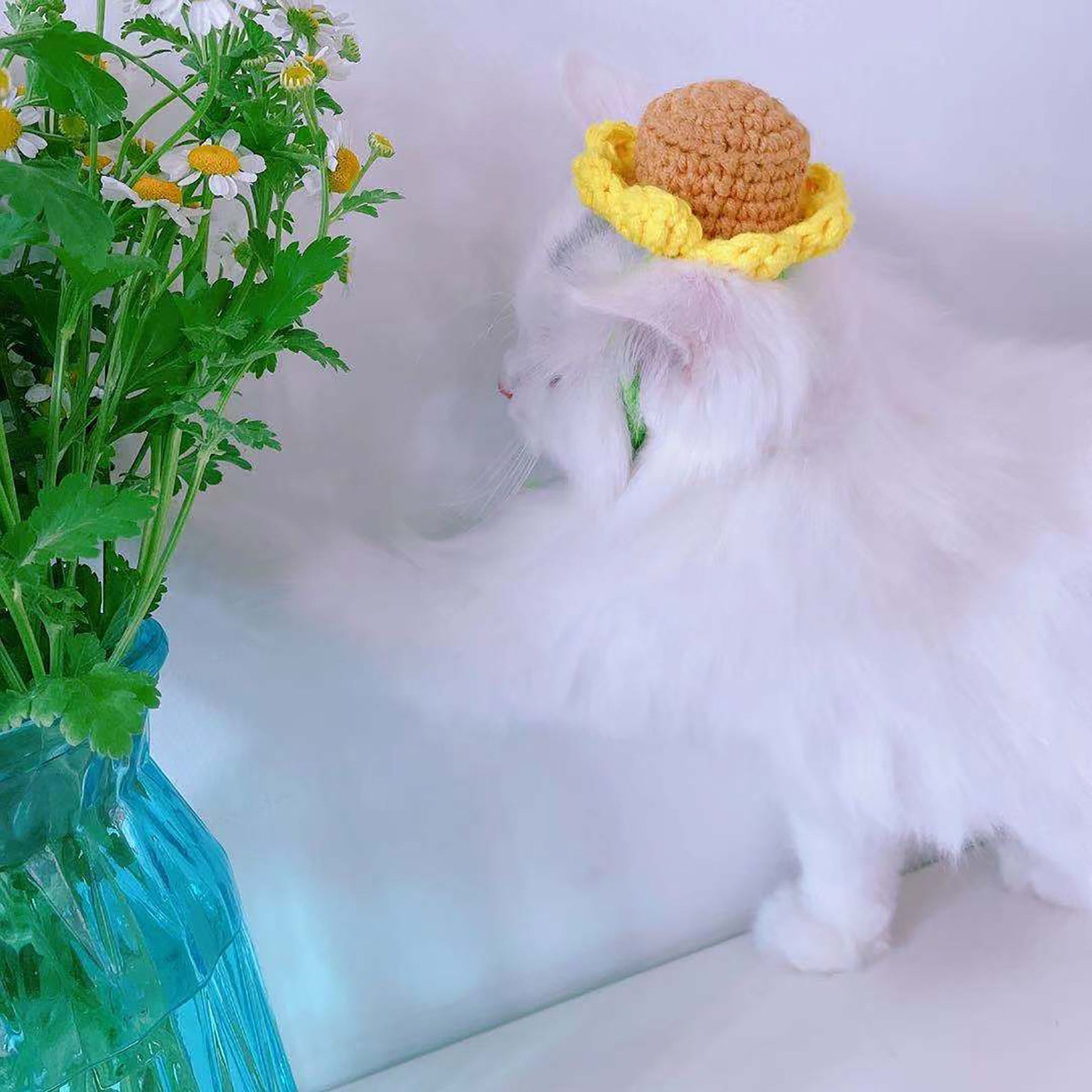 Sunflower pet knitted hat Knitted Yarn Hat for Cat or Small Etsy