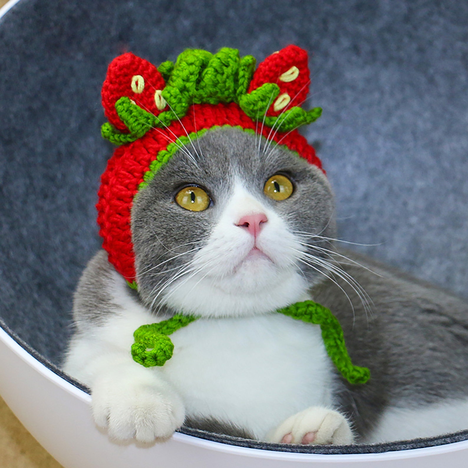 Strawberry Crochet Cat Hat Cute Handknitted Dog Hat Animals Etsy