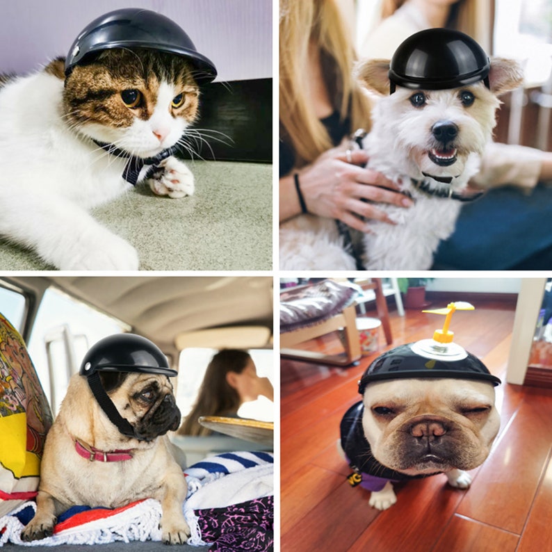 Head Accessories Ridding Cap Headwear puppy hat Pet Protection Helmet Motorcycle Bike Hat Pet Safety Ridding Cap Dog Hats Pet Helmet