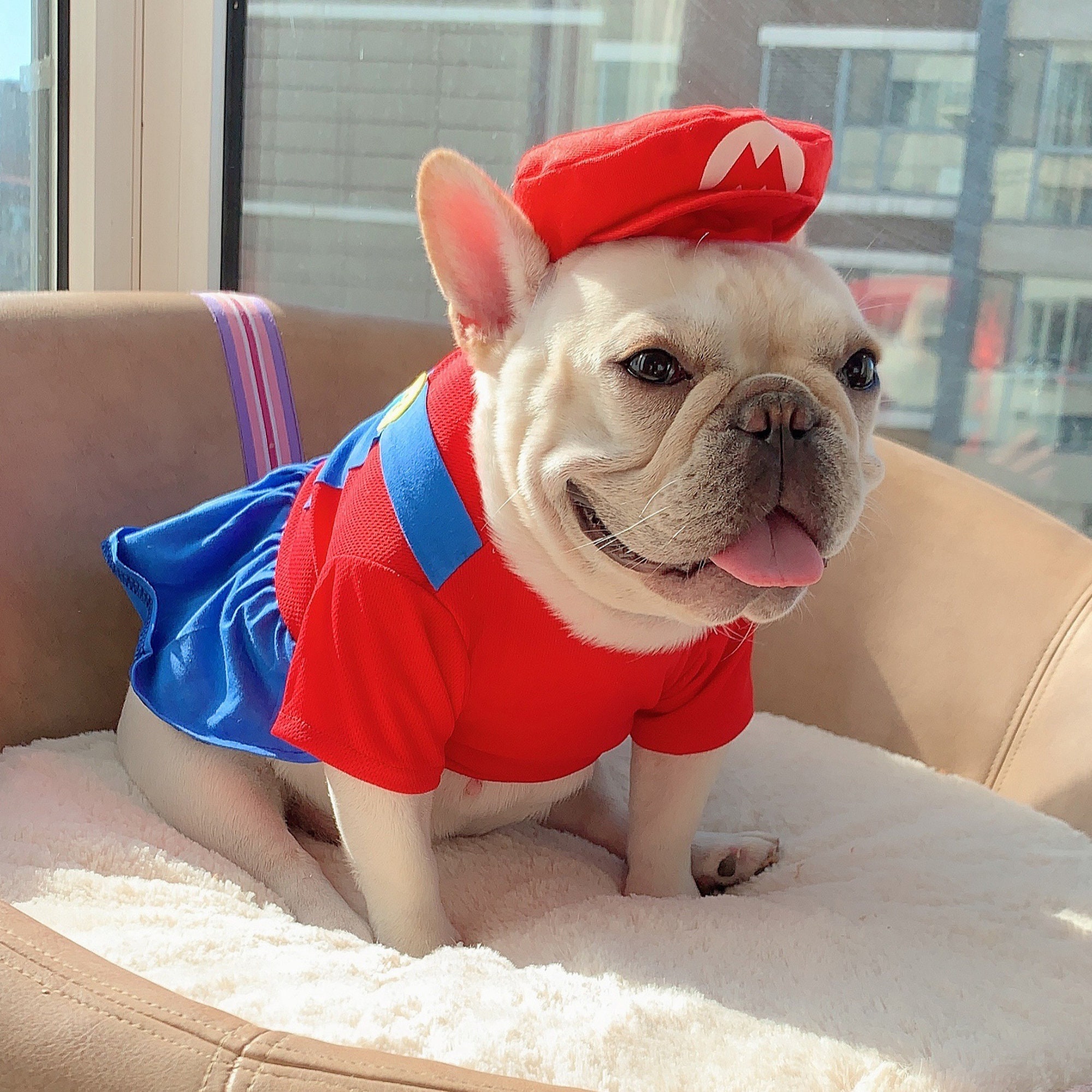 Super Mario French Bulldog Clothes Puppy Cat Hoodies Etsy