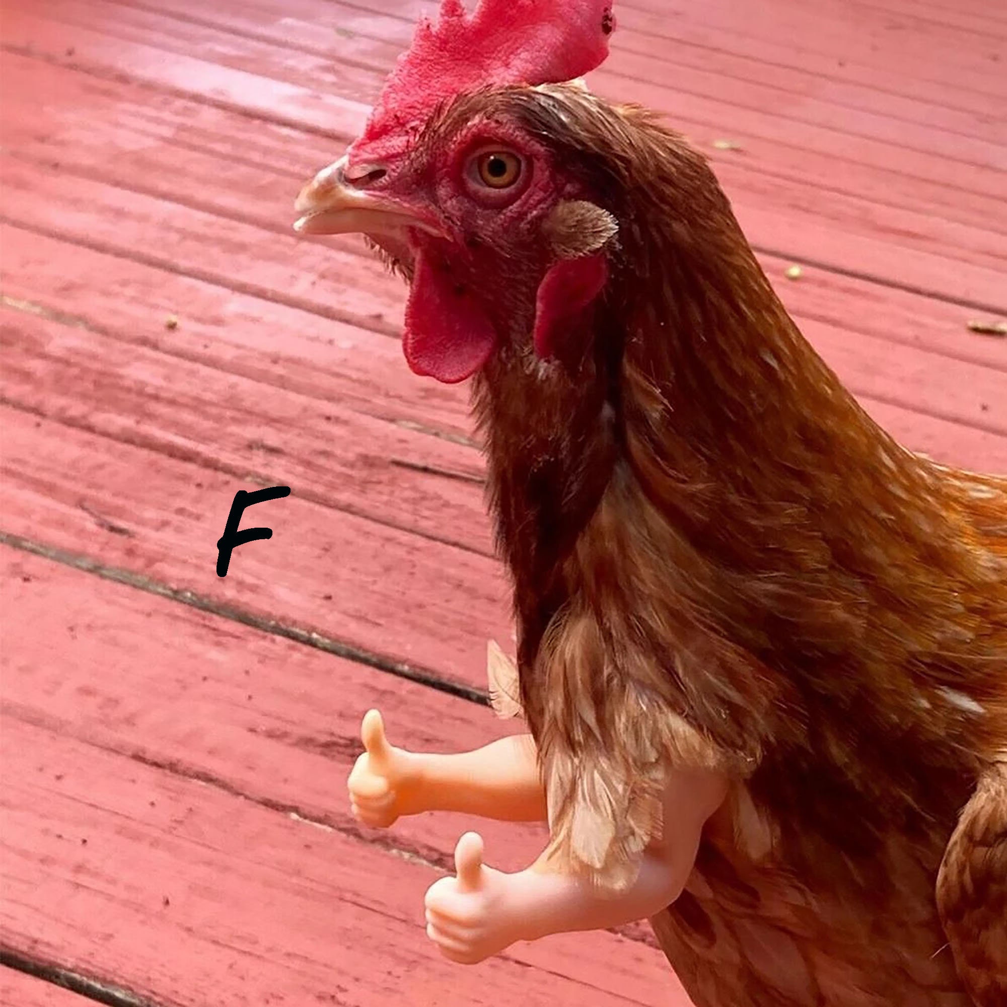 Funny Muscle Chicken Arms Chicken Wings Funny Boxing Arm Etsy