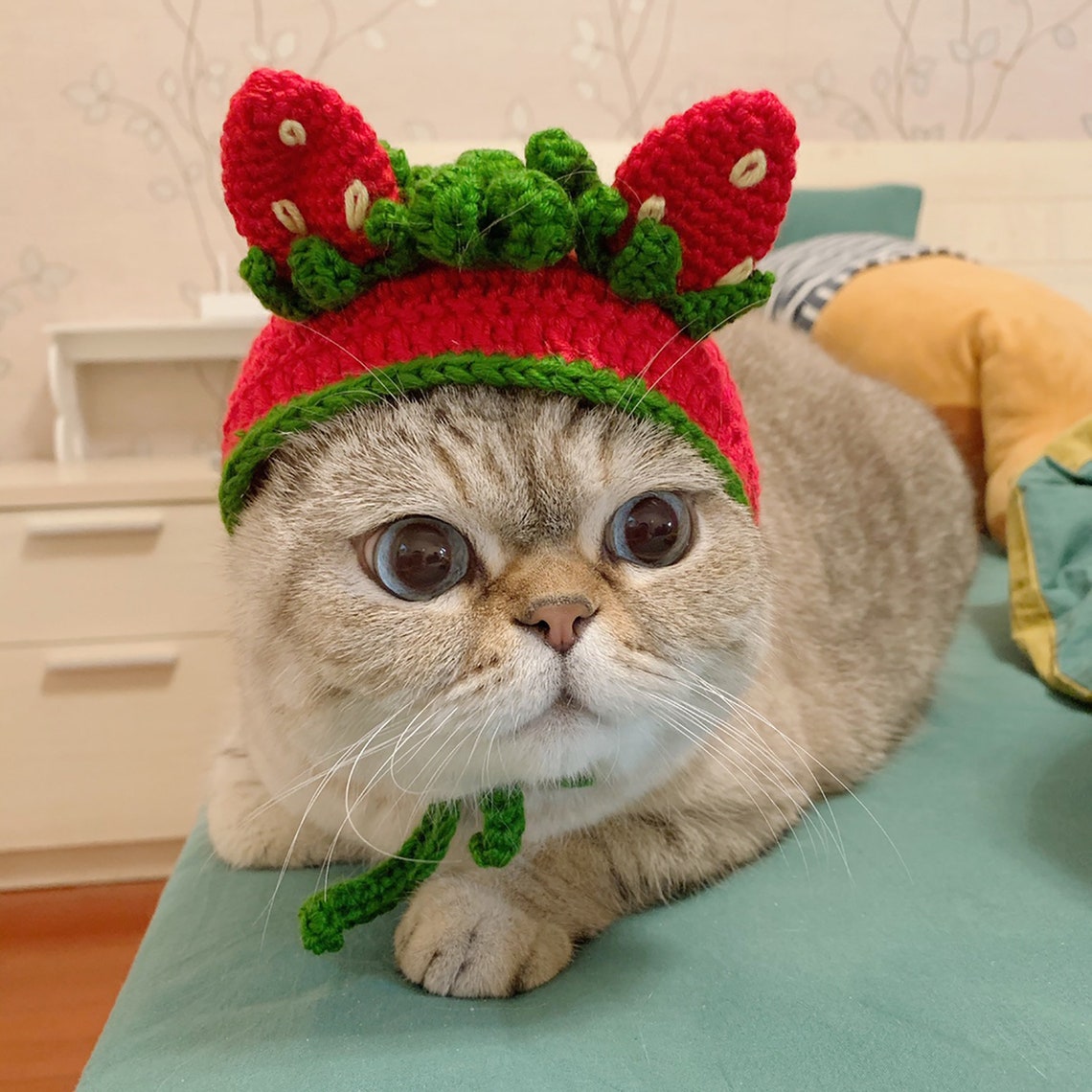 Strawberry Crochet Cat Hat Cute Handknitted Dog Hat Animals Etsy