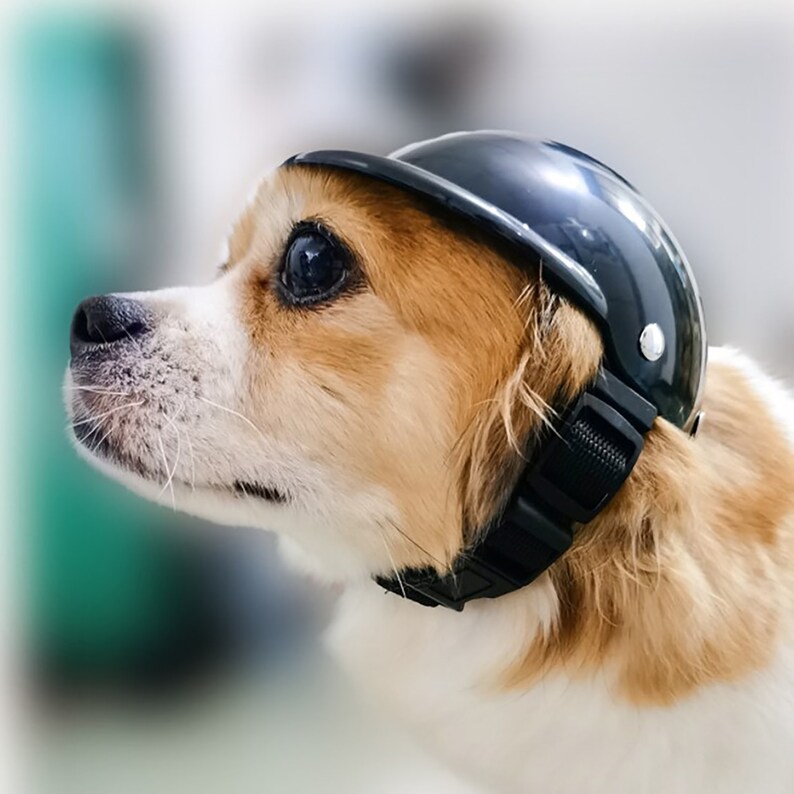 Head Accessories Ridding Cap Headwear puppy hat Pet Protection Helmet Motorcycle Bike Hat Pet Safety Ridding Cap Dog Hats Pet Helmet