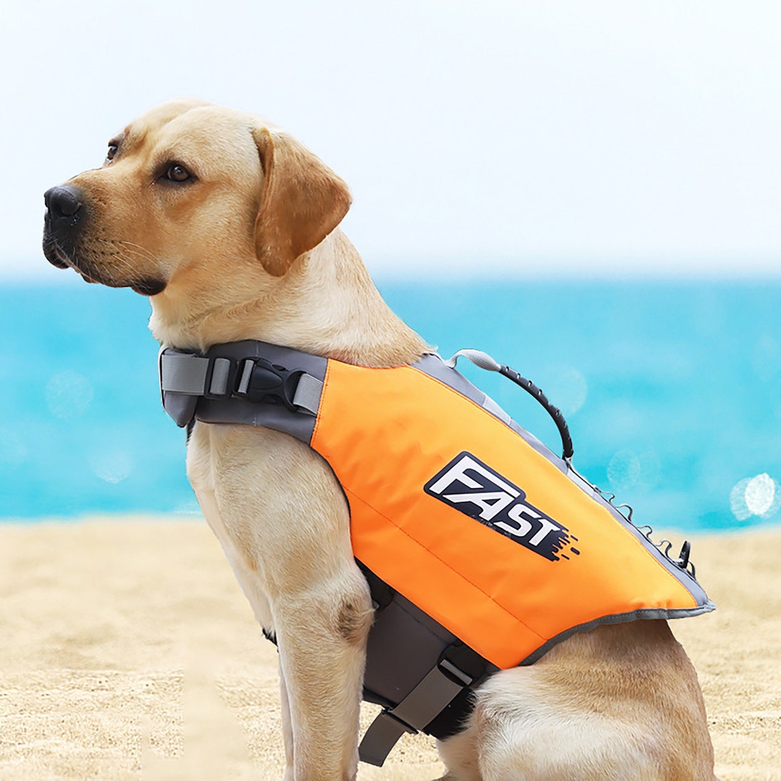 Summer Pet Floating Swimming Vest Dog Life Jacket Summer Etsy