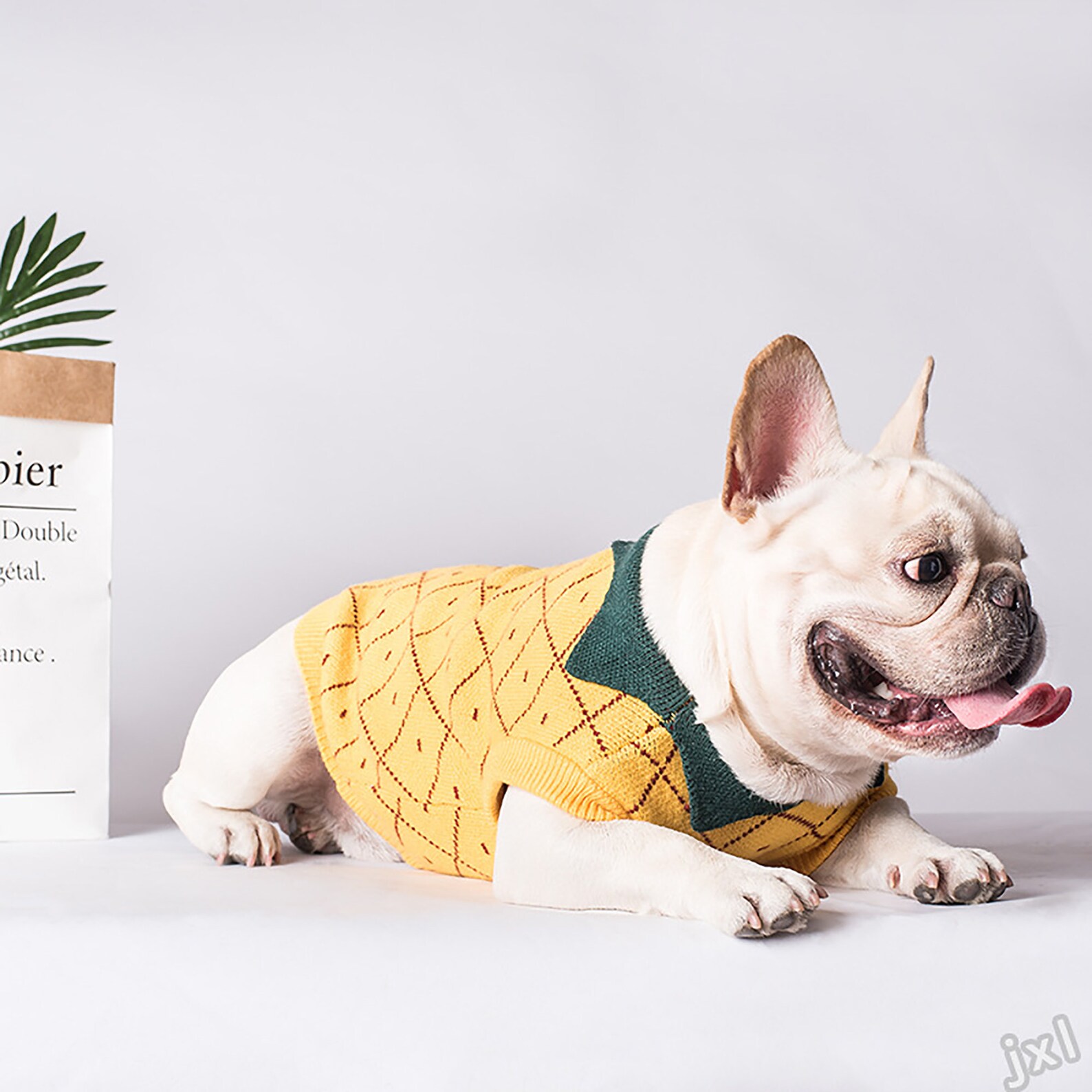 Ananas gestrickte Hund Pullover süße Obst Haustier Kleidung Etsy